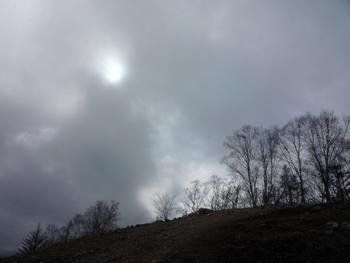 oR20080504_91