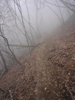 oR20080504_94