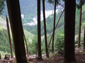 oR20080504_96