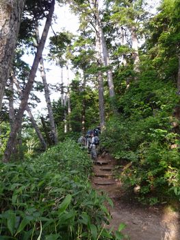 oR20080726_6