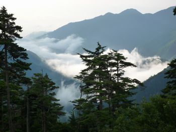 oR20080726_8