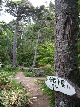 oR20080726_11