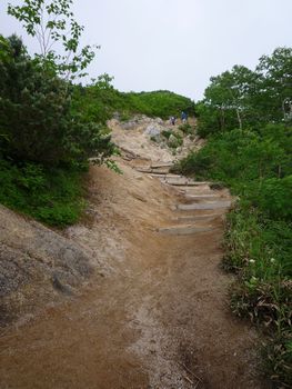 oR20080726_19
