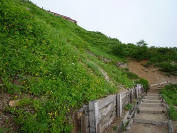 oR20080726_21