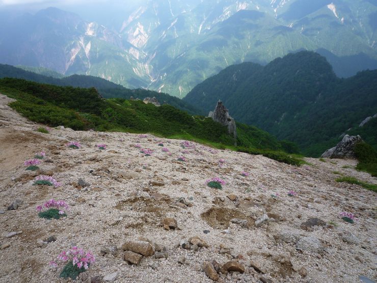 oR20080726_37