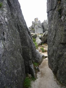 oR20080726_41