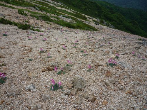 oR20080726_46