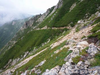 oR20080726_61
