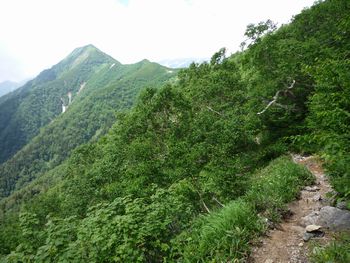 oR20080726_63