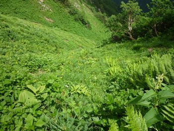 oR20080726_73