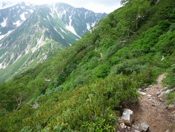 oR20080726_80