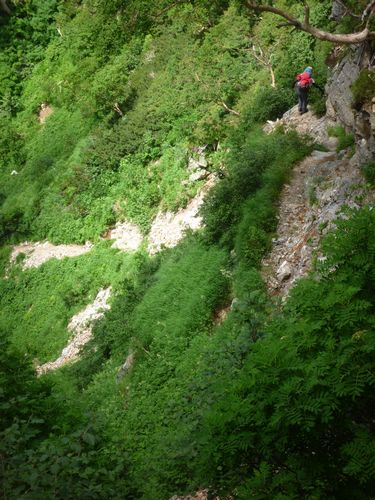 oR20080726_81