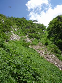 oR20080726_83