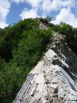 oR20080726_85