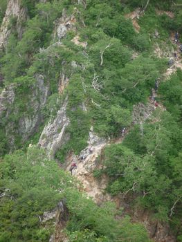 oR20080726_88