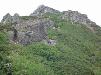 oR20080726_100
