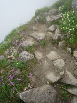 oR20080727_20