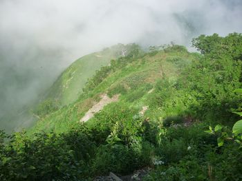 oR20080727_29