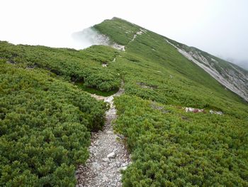 oR20080727_41