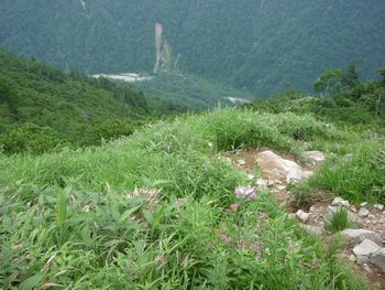 oR20080727_55
