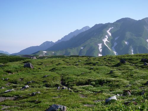 oR20080809_5