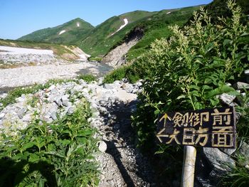 oR20080809_15