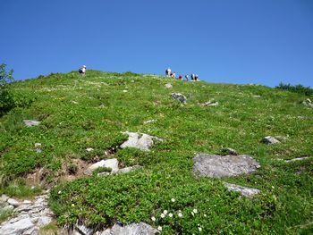 oR20080809_18