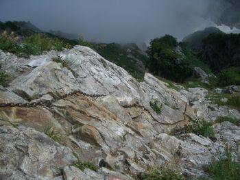 oR20080812_72