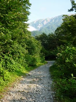 oR20080811_4