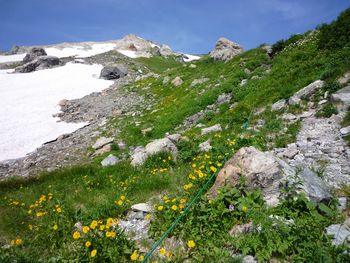 oR20080811_22