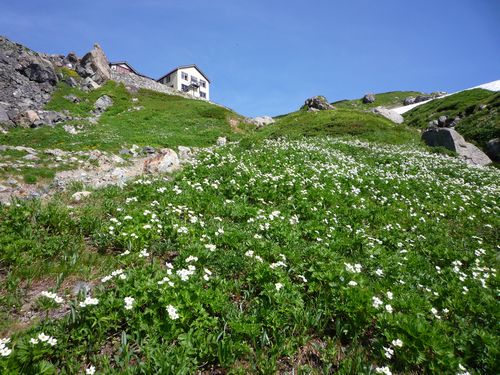oR20080811_25