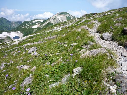 oR20080811_45