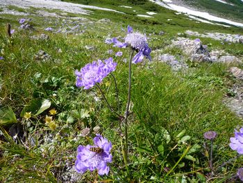 oR20080811_46