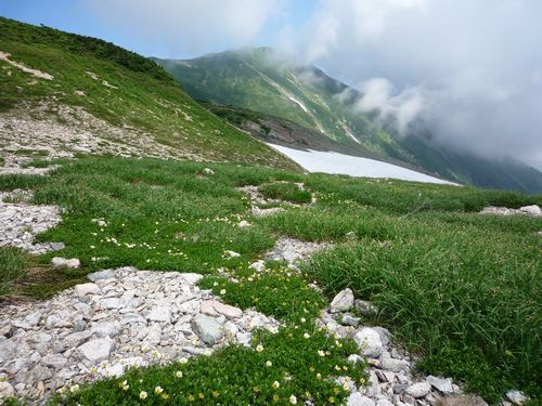 oR20080811_50