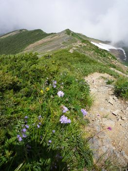 oR20080811_59
