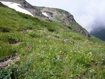 oR20080811_61