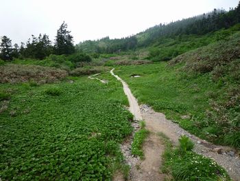 oR20080811_73