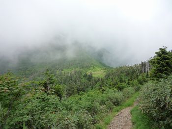 oR20080811_74