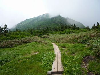 oR20080811_75