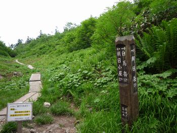 oR20080811_76