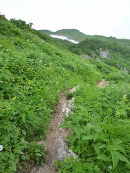 oR20080811_78