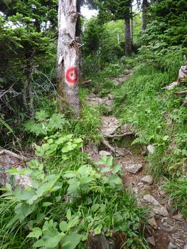 oR20080811_77