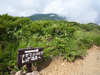 oR20080811_84