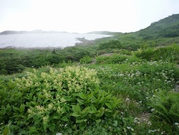 oR20080811_86