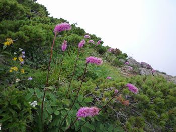oR20080811_87