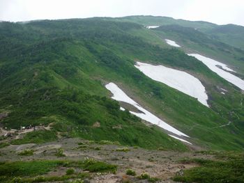 oR20080811_88