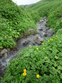 oR20080811_93