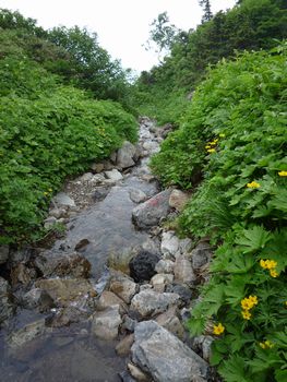 oR20080811_94