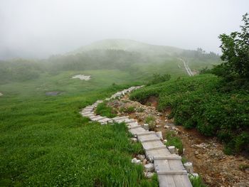 oR20080811_102