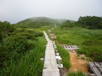 oR20080811_104